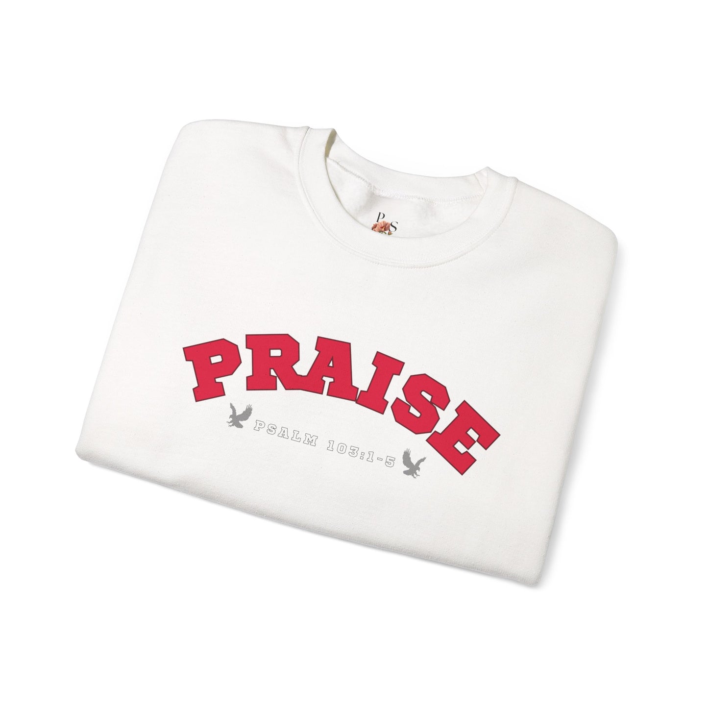 Praise Adult Sweatshirt