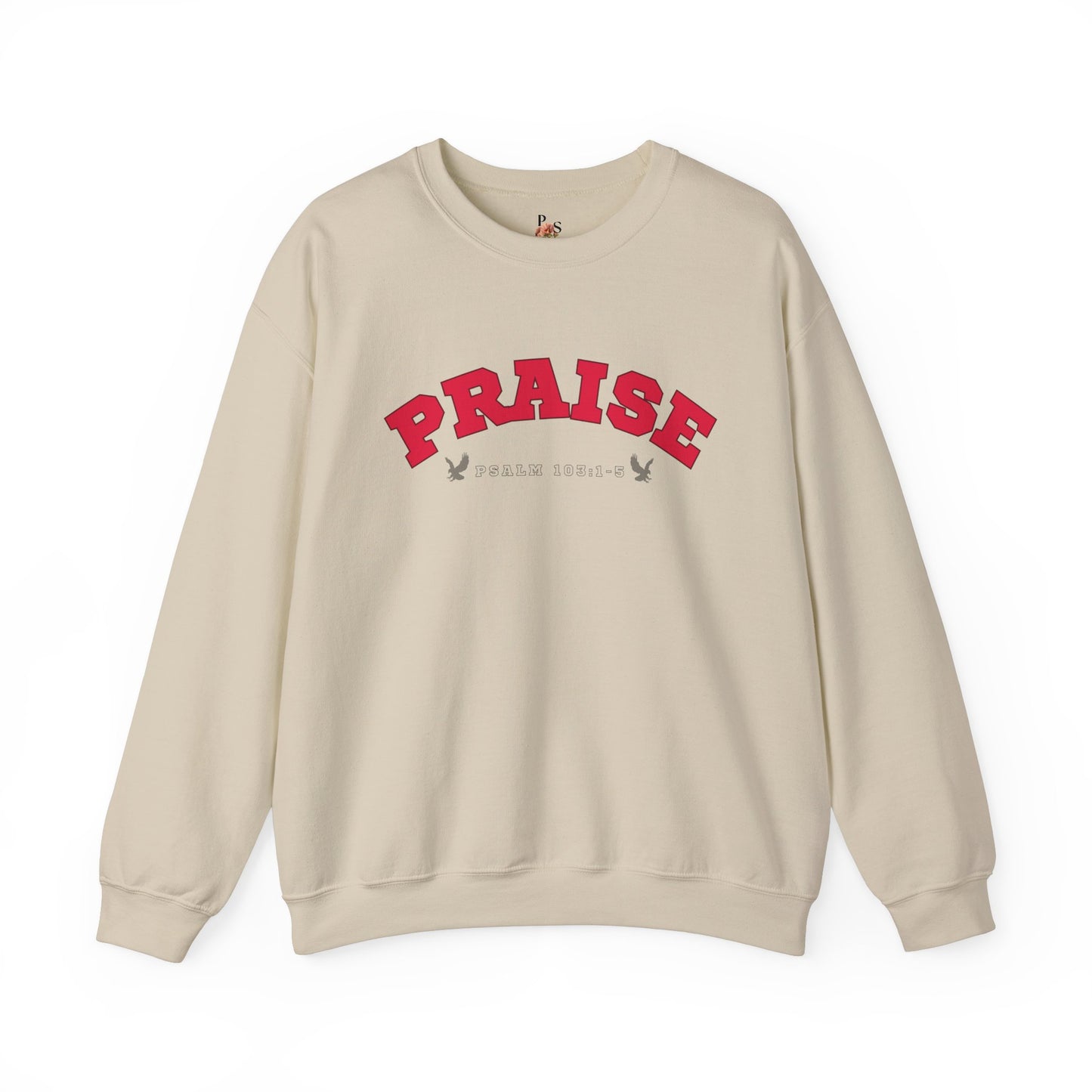 Praise Adult Sweatshirt