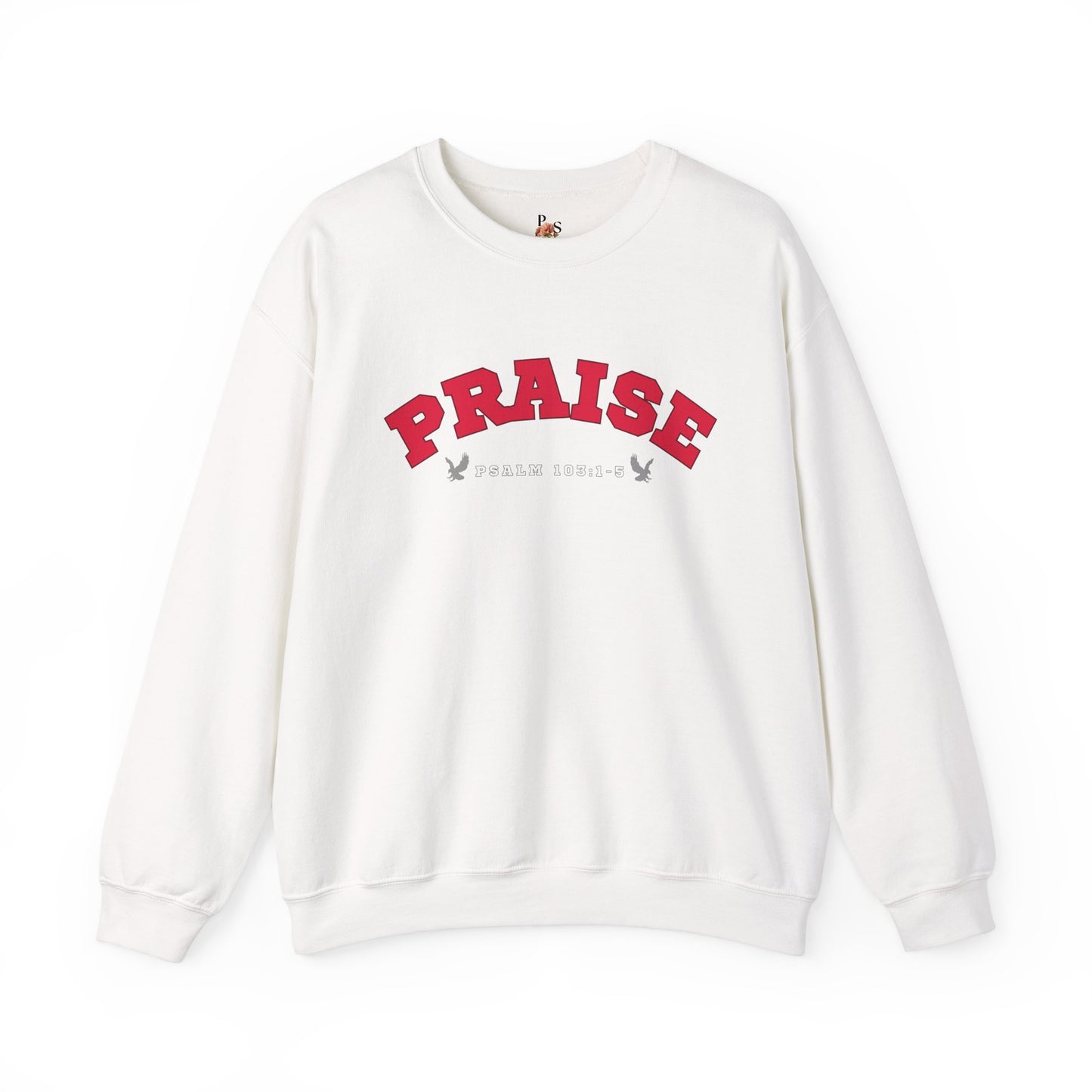Praise Adult Sweatshirt