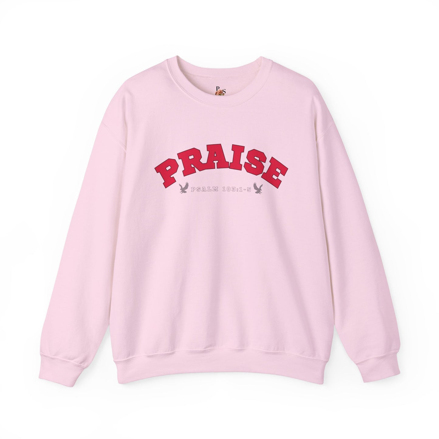 Praise Adult Sweatshirt